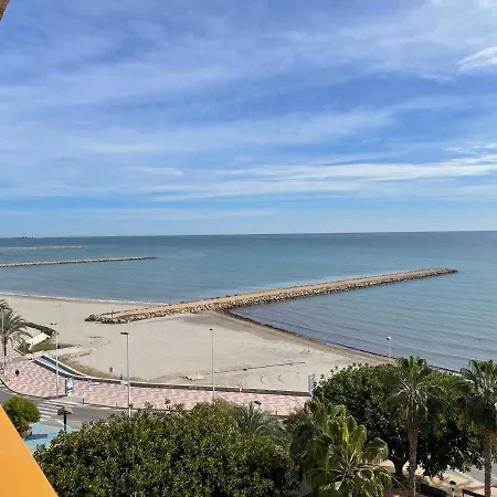 Sunflower First Line By The Sea * Santa Pola